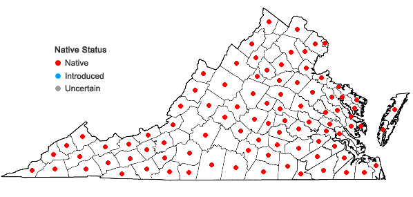 Locations ofCarex debilis Michaux var. debilis in Virginia