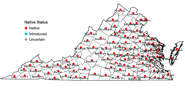 Locations ofCarex debilis Michaux var. debilis in Virginia