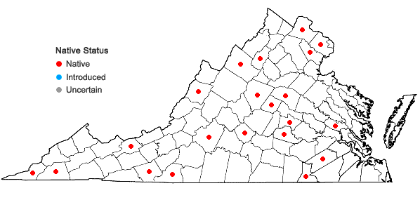 Locations ofCarex debilis Michx. var. pubera A. Gray in Virginia