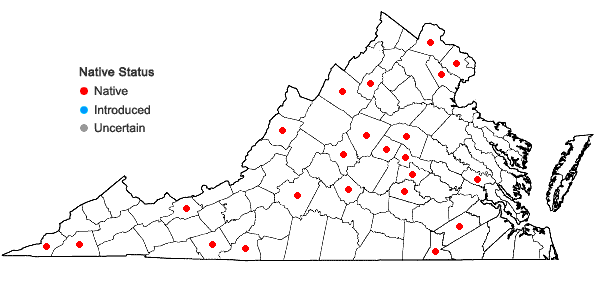 Locations ofCarex debilis Michx. var. pubera A. Gray in Virginia