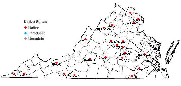Locations ofCarex debilis Michx. var. pubera A. Gray in Virginia