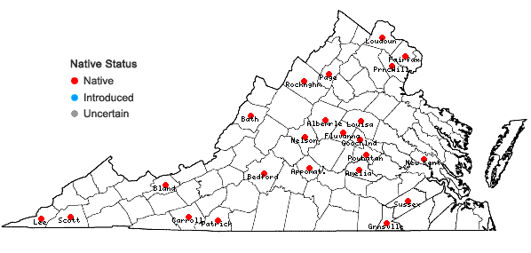 Locations ofCarex debilis Michx. var. pubera A. Gray in Virginia
