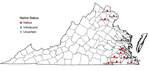 Locations ofCarex decomposita Muhl. in Virginia