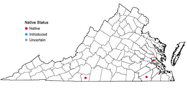 Locations ofCarex digitalis Willd. var. floridana (Bailey) Naczi & Bryson in Virginia
