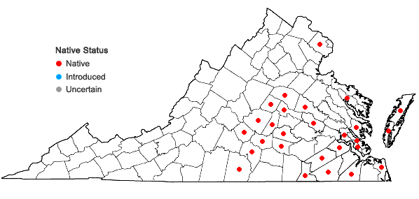 Locations ofCarex digitalis Willd. var. macropoda Fernald in Virginia