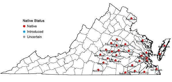 Locations ofCarex digitalis Willd. var. macropoda Fernald in Virginia