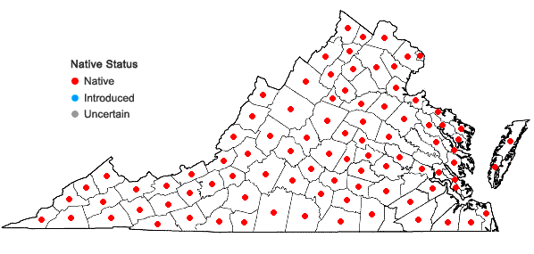 Locations ofCarex digitalis Willd. in Virginia