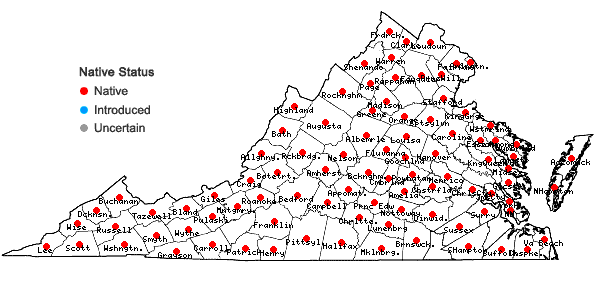 Locations ofCarex digitalis Willd. in Virginia