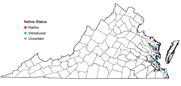 Locations ofCarex divisa Hudson in Virginia