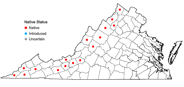 Locations ofCarex eburnea Boott in Virginia
