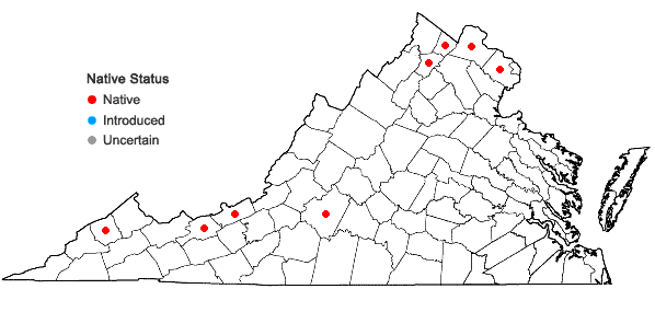 Locations ofCarex emoryi Dewey in Virginia