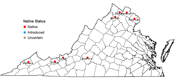 Locations ofCarex emoryi Dewey in Virginia