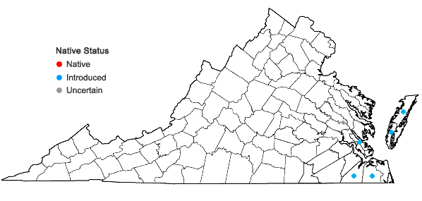 Locations ofCarex extensa Goodenough in Virginia