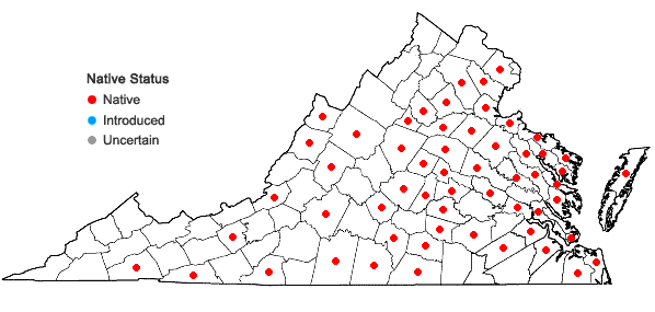 Locations ofCarex festucacea Schk. ex Willd. in Virginia