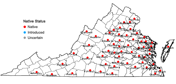 Locations ofCarex festucacea Schk. ex Willd. in Virginia