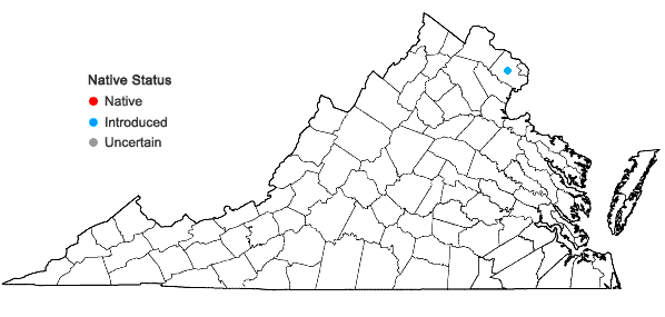 Locations ofCarex fissa Mackenzie var fissa in Virginia