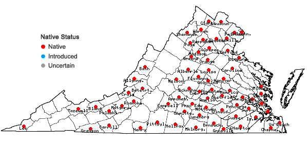 Locations ofCarex flaccosperma complex in Virginia