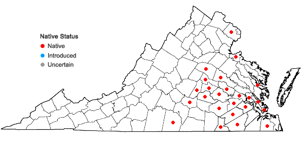 Locations ofCarex flaccosperma Dewey in Virginia