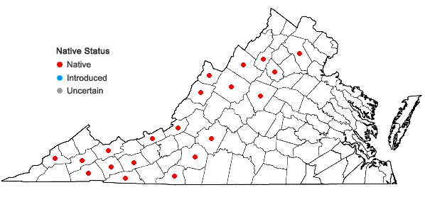 Locations ofCarex flexuosa Muhl. ex Willd. in Virginia