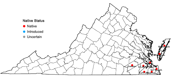 Locations ofCarex floridana Schw. in Virginia