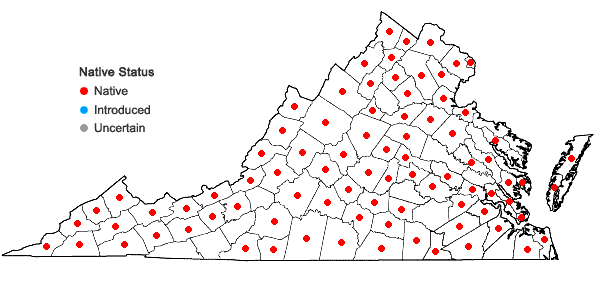 Locations ofCarex frankii Kunth in Virginia