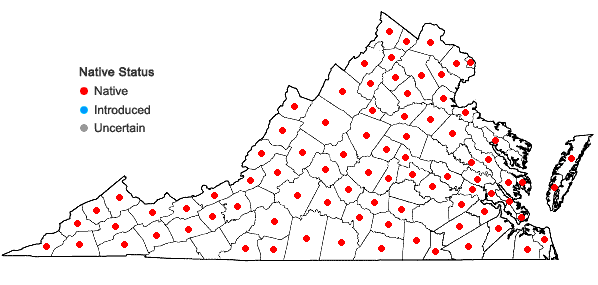 Locations ofCarex frankii Kunth in Virginia