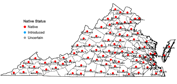 Locations ofCarex frankii Kunth in Virginia