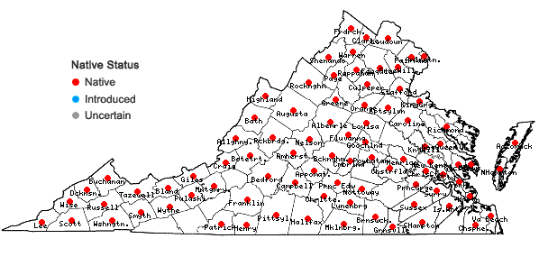 Locations ofCarex frankii Kunth in Virginia