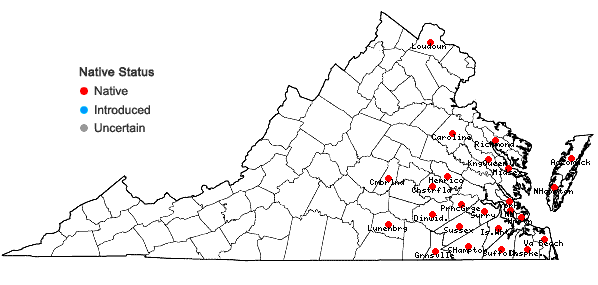 Locations ofCarex gigantea Rudge in Virginia