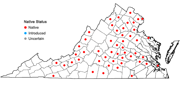 Locations ofCarex glaucodea Tuckerman ex Olney in Virginia