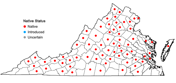 Locations ofCarex gracilescens Steudel in Virginia