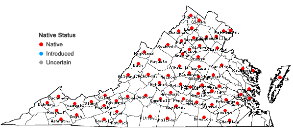 Locations ofCarex gracilescens Steudel in Virginia