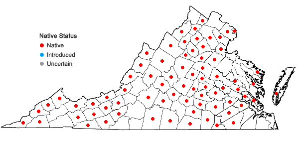 Locations ofCarex gracillima Schw. in Virginia