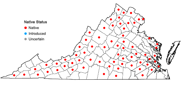 Locations ofCarex granularis Muhl. ex Willd. in Virginia