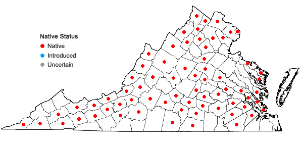 Locations ofCarex granularis Muhl. ex Willd. in Virginia