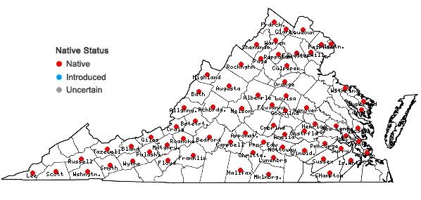 Locations ofCarex granularis Muhl. ex Willd. in Virginia