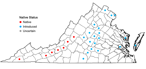 Locations ofCarex gravida L.H. Bailey in Virginia