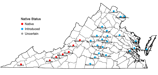 Locations ofCarex gravida L.H. Bailey in Virginia