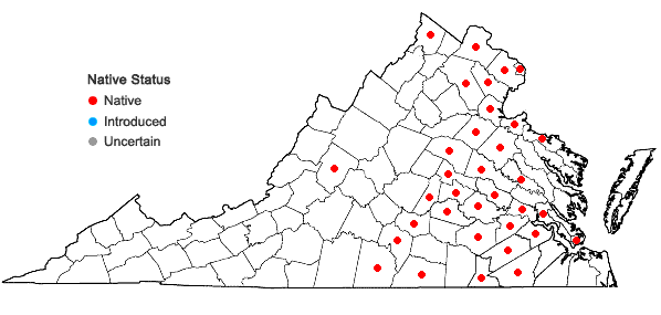 Locations ofCarex grayi Carey in Virginia