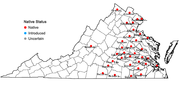 Locations ofCarex grayi Carey in Virginia