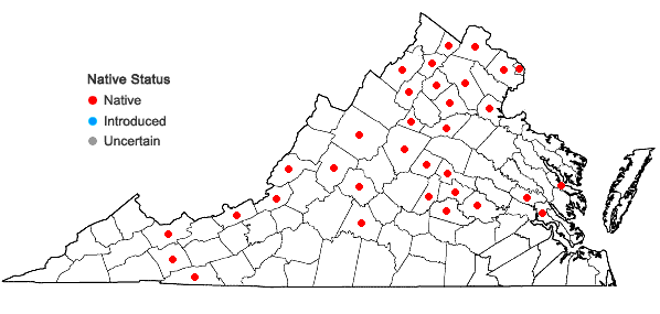 Locations ofCarex grisea Wahlenb. in Virginia