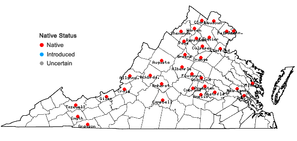 Locations ofCarex grisea Wahlenb. in Virginia