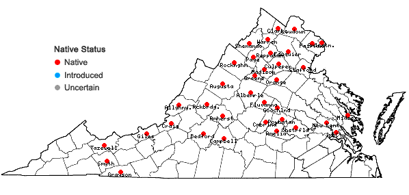 Locations ofCarex grisea Wahlenb. in Virginia