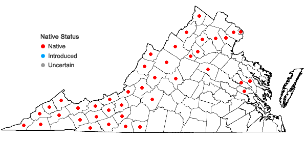 Locations ofCarex gynandra Schweinitz in Virginia
