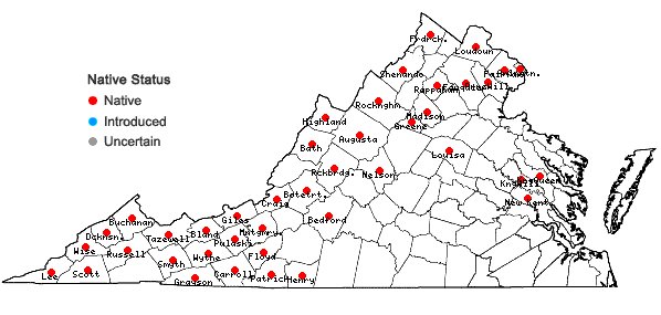 Locations ofCarex gynandra Schweinitz in Virginia