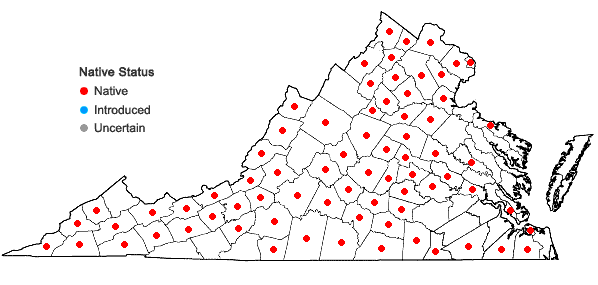 Locations ofCarex hirsutella Mackenzie in Virginia