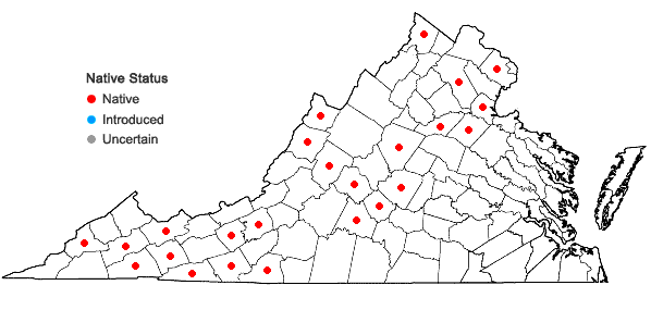 Locations ofCarex hirtifolia Mackenzie in Virginia