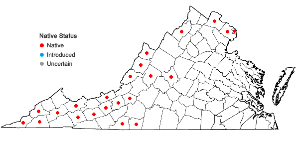 Locations ofCarex hitchcockiana Dewey in Virginia