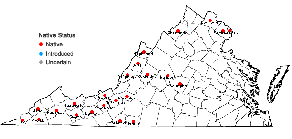 Locations ofCarex hitchcockiana Dewey in Virginia