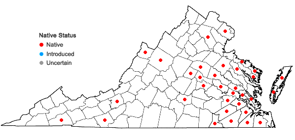 Locations ofCarex howei Mackenzie in Virginia